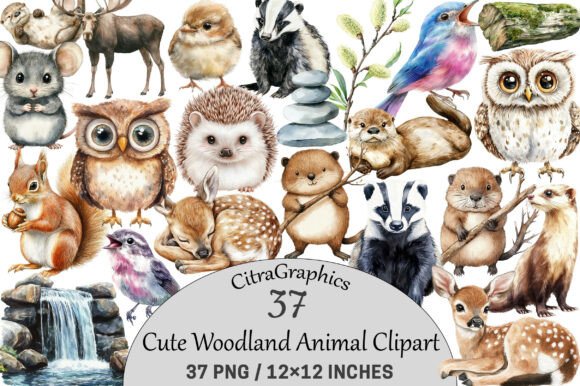 Cute Woodland Animal Clipart for Creative Projects