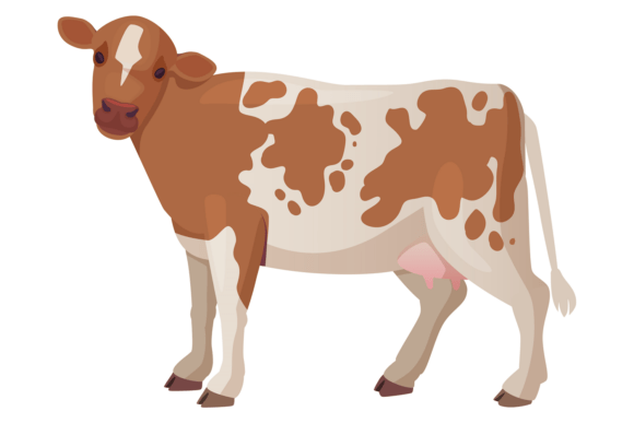Guernsey Cattle Breed: A Designer's Guide to a Distinctive Typeface